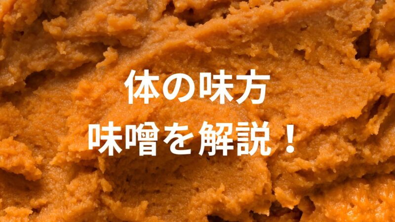 味噌は体の味方！種類、作り方、保存方法、栄養について解説 