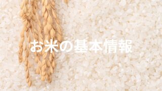 お米について学ぼう！特徴、種類、品種、道具について解説！ 
