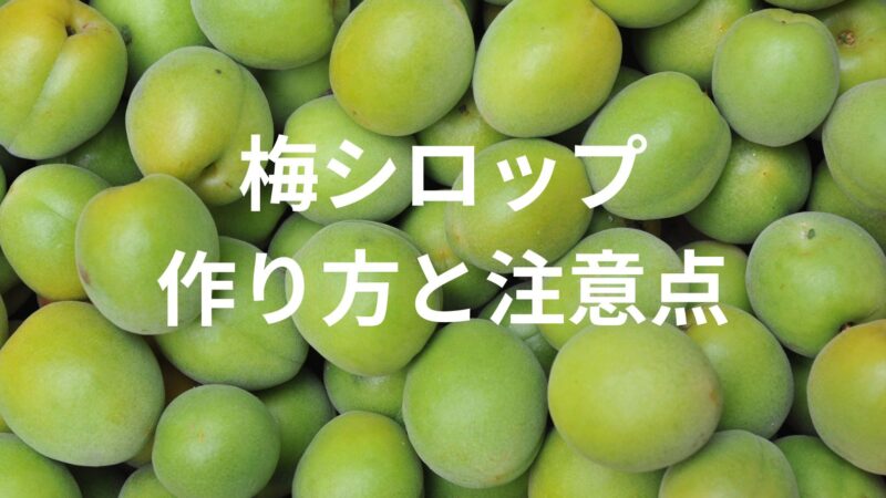 青梅を使って子供と一緒に作ろう『梅シロップ』！材料は青梅と氷砂糖だけ！ 