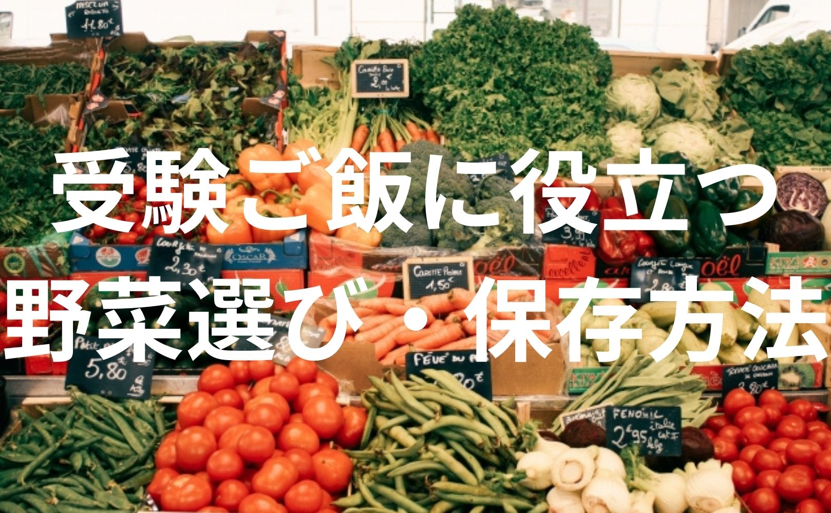 【受験ご飯に役立つ】野菜の選び方・保存方法を詳しく解説！
