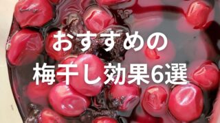 【受験生(子供）におすすめの梅干し効果6選】種類・料理なども詳しく解説！ 